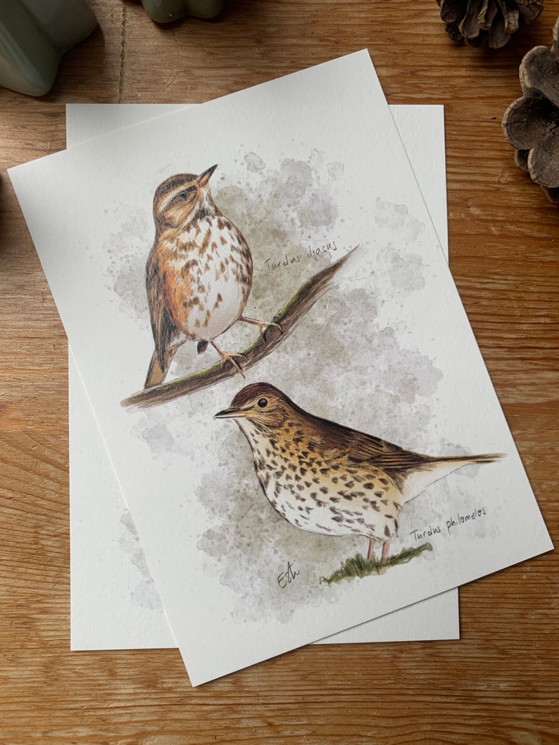 Carte postale "les grives" - A6 image 2