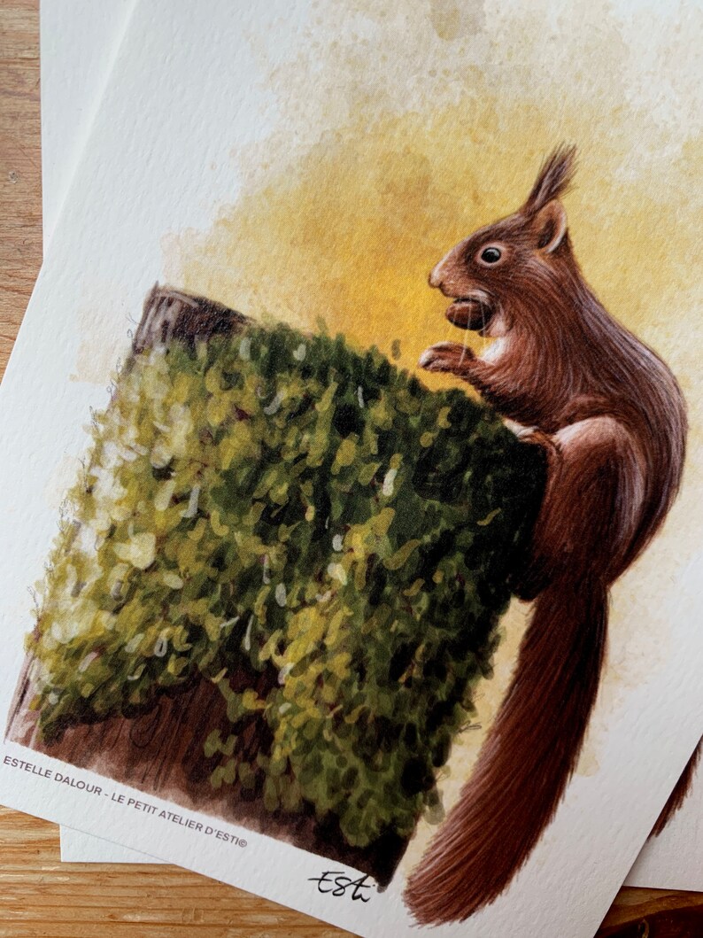 Carte postale " petit écureuil" - A6 image 4