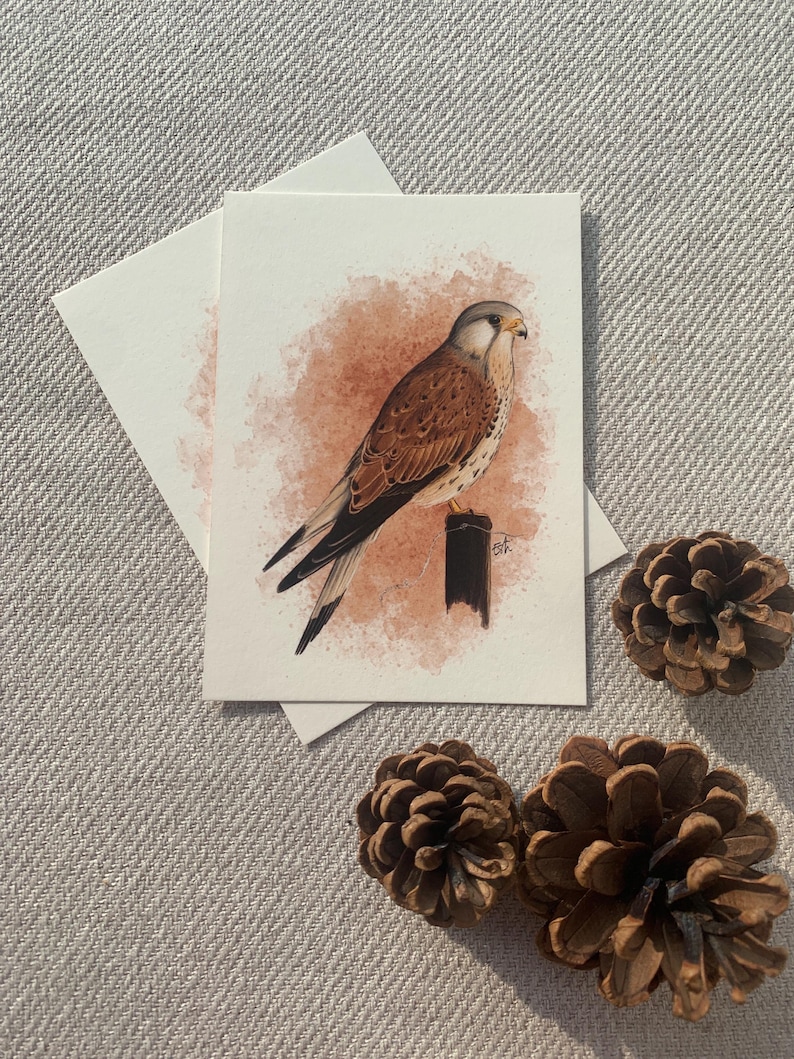 Cartolina "gheppio" - A6 immagine 1