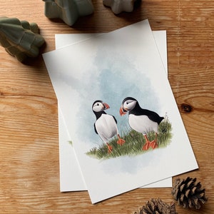 Carte postale " petit macareux " - A6 image 3