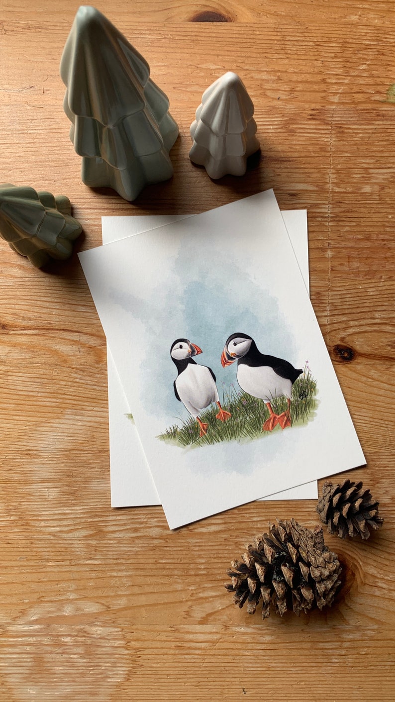 Carte postale " petit macareux " - A6 image 3