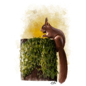 Carte postale " petit écureuil" - A6 image 2