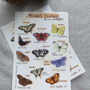 Carte postale "papillons communs" - A6