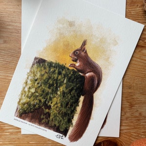 Carte postale " petit écureuil" - A6 image 3