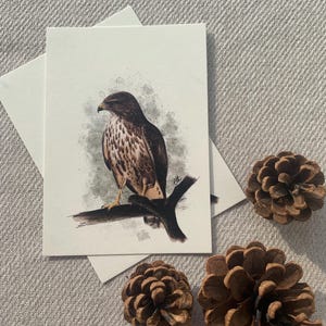 Carte postale "buse variable" -A6