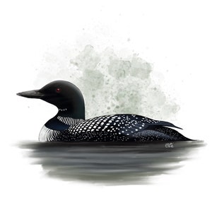 Carte postale " Plongeon huard " - A6