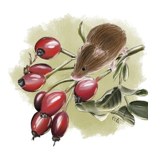 Carte carrée « souris rouge » 15x15 cm
