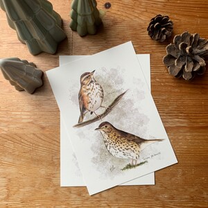 Carte postale "les grives" - A6 image 3
