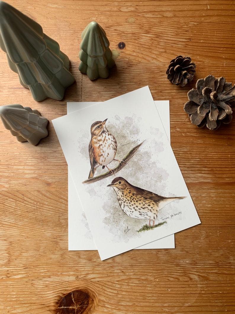 Carte postale "les grives" - A6 image 3