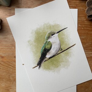 Carte postale "Hummingbird" - A6 image 2