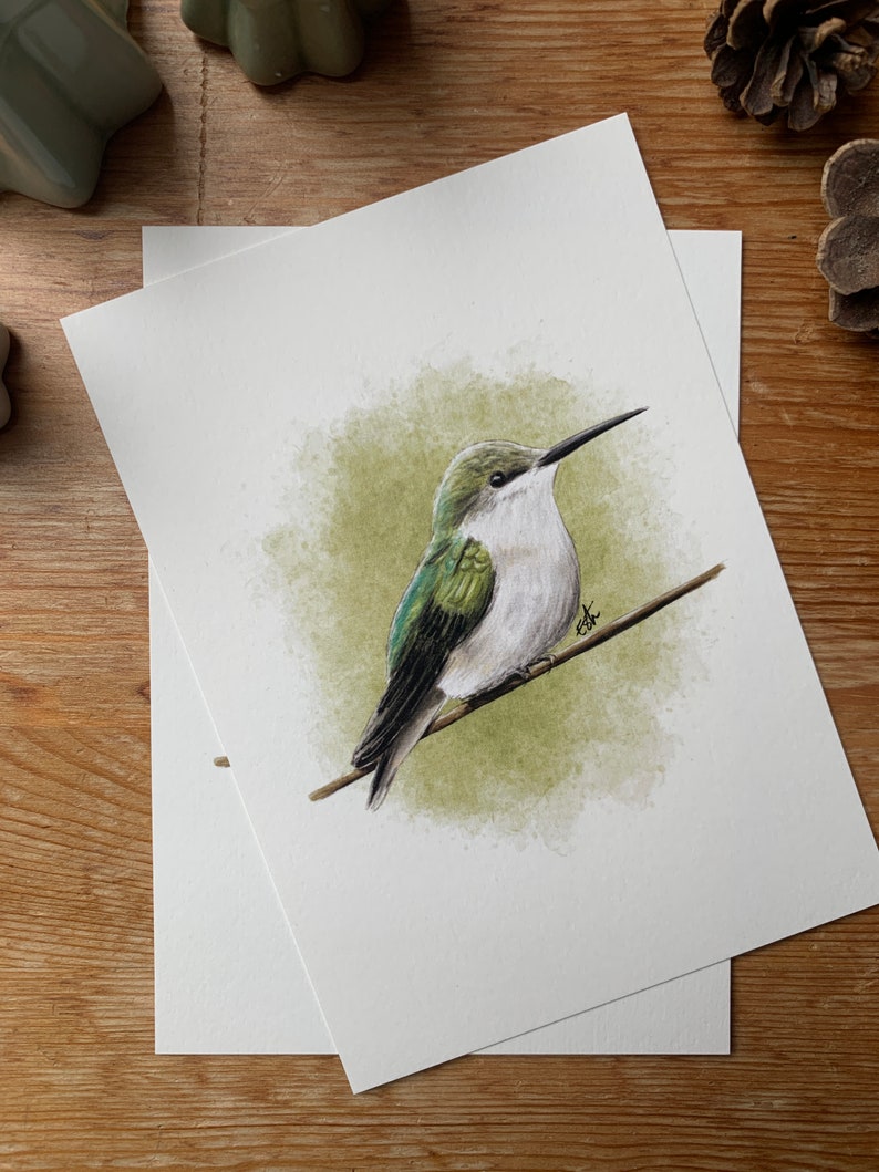 Carte postale "Hummingbird" - A6 image 2