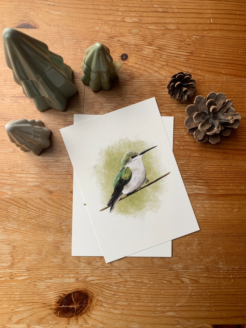 Carte postale "Hummingbird" - A6 image 3