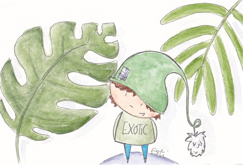 Postcard Korrigan Exotic
