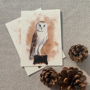 Carte postale "chouette effraie" -A6 fond blanc