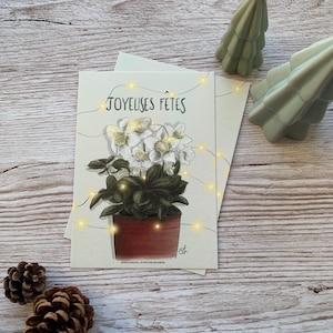 Carte postale "hellébore de Noël » -A6