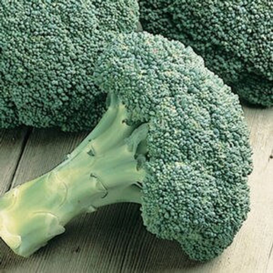 Broccoli Destiny 4 1/2 Pot Edibles Etsy