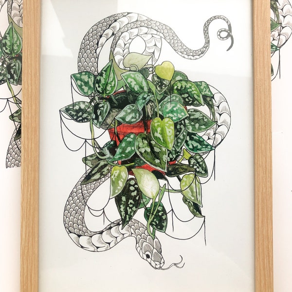 Scindapsus plant & snake print | Collab with @lisbethsix