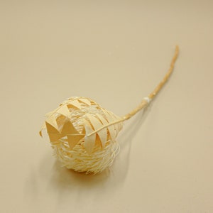 Banksia met gedroogde bloemen - gebroken wit