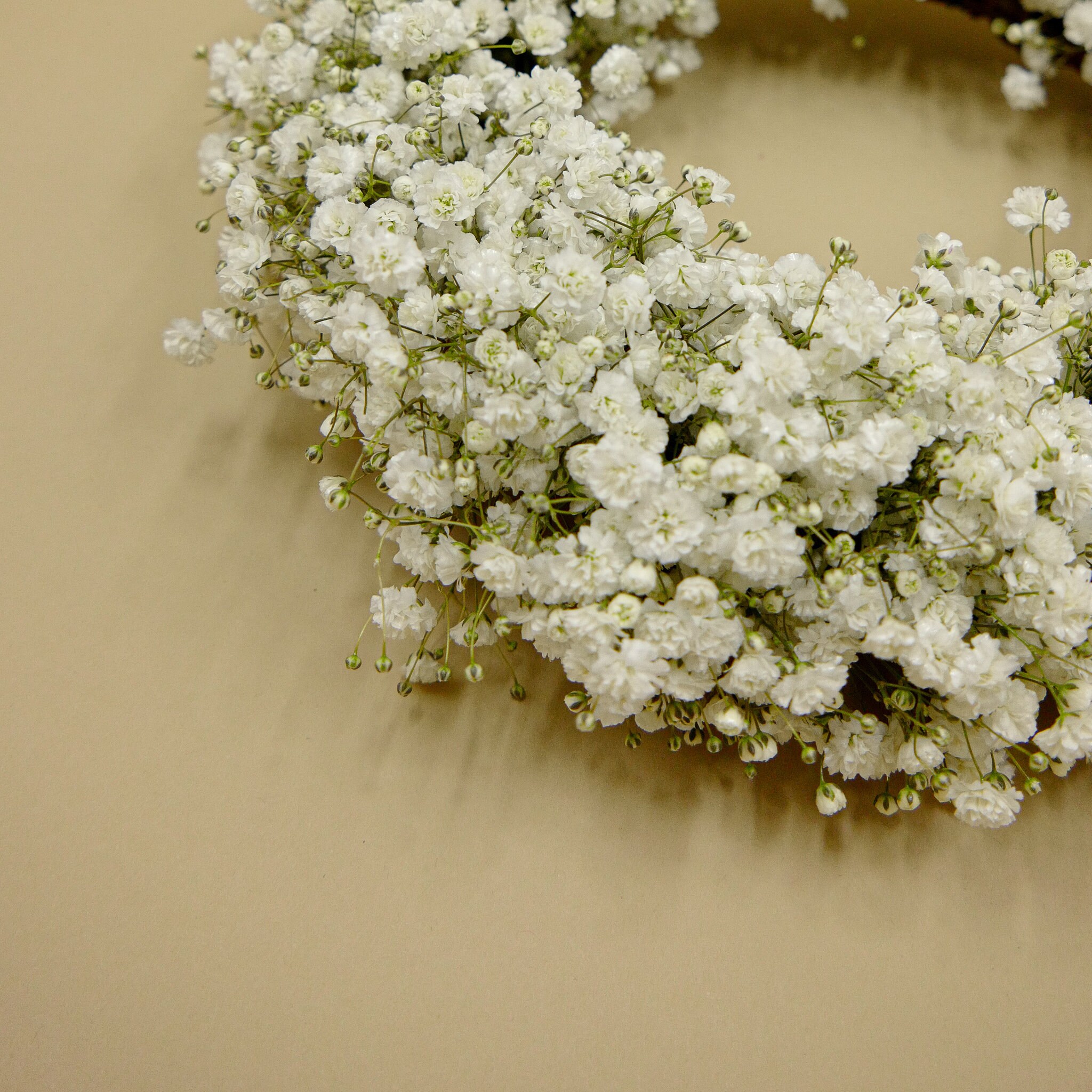 Fresh Flower Gypsophila Overtime babys Breath Wreath Etsy