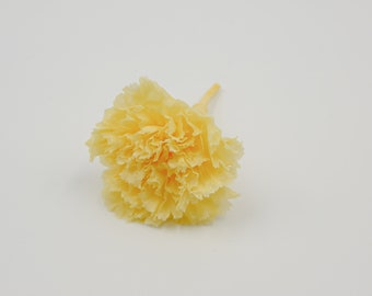 Preserved Flower Carnation - Morning Yellow