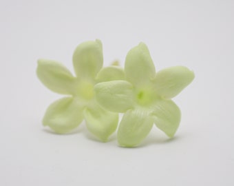 Preserved Flower Jasmin - Fresh Green