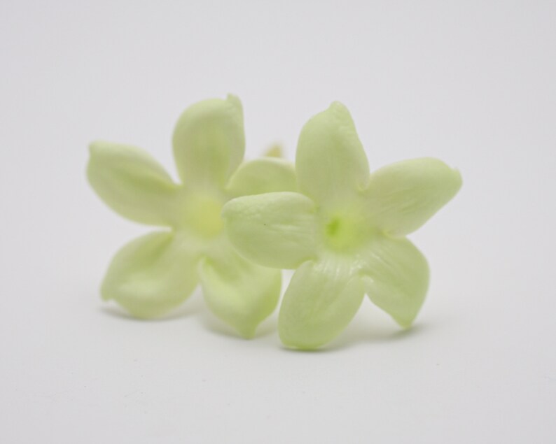 Preserved Flower Jasmin Fresh Green image 1