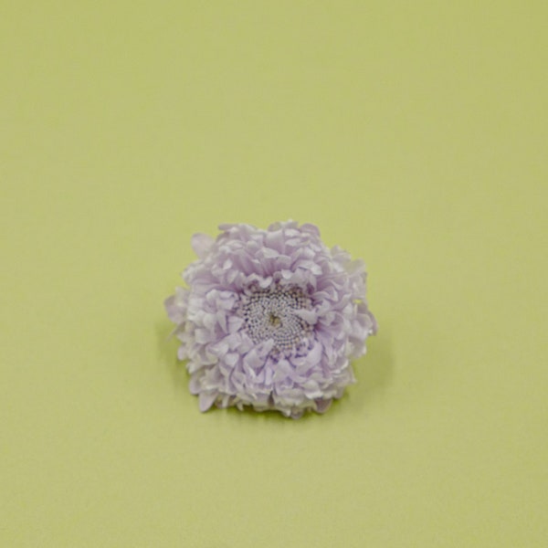 Preserved Flower Aster - Soft Lilac