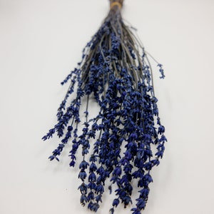 Preserved Flower Lavender - Blue