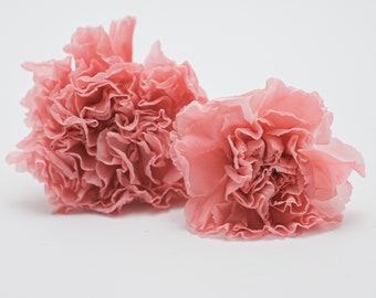 Preserved Flower Mini Carnation - Angel Pink