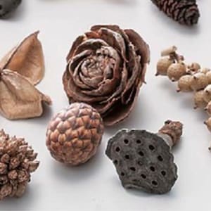 Puede incluir: Surtido de elementos naturales secos, incluyendo una piña marrón, una rosa marrón, una vaina de semillas marrón, una vaina de semillas marrón y beige, una bola marrón y beige y una vaina de semillas negra y marrón.