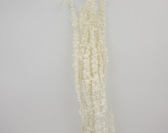 Dried Flower Amaranthus - Off White