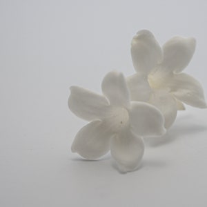Geconserveerde bloem jasmijn - wit