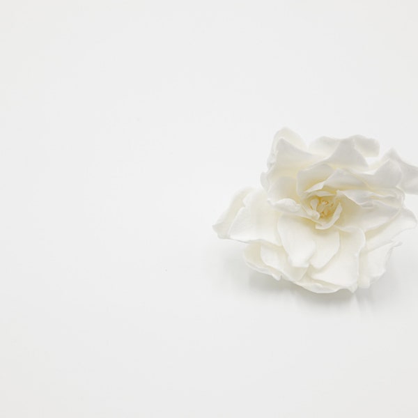 Backordered)Preserved Flower Gardenia Jasmine-White