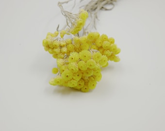 Dried  Flower Immortelle -Natural Yellow