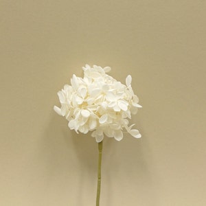 Preserved Flower Peegee Hydrangea With Design Stem - Off White