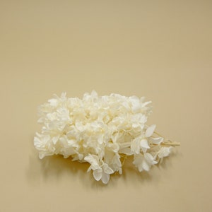 Preserved Flower Snow Flake Hydrangea - Off white