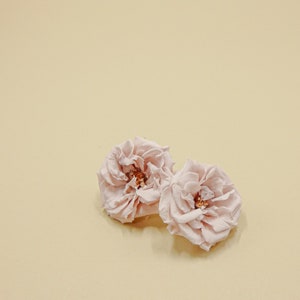Preserved Flower Rose French Marianne - Pink Beige