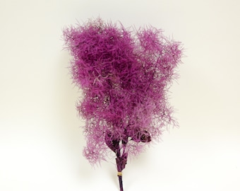 Preserved Flower Smoke Tree - Pink (@