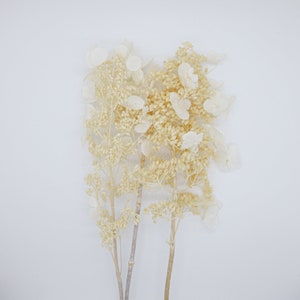 Geconserveerde bloemhortensia met steel - gebroken wit (@op voorraad)