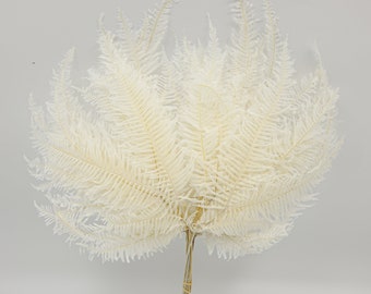 Preserved Flower Mountain Fern - White