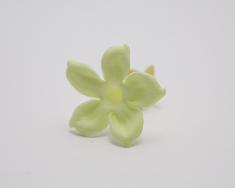 Preserved Flower Jasmin Fresh Green image 4