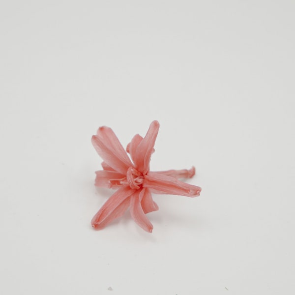 Preserved Flower Tuberose - Pink Opal