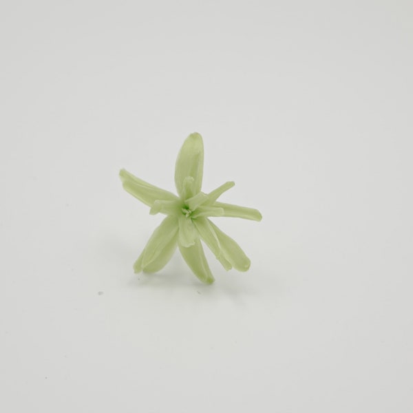 Preserved Flower Tuberose - Citrus Green