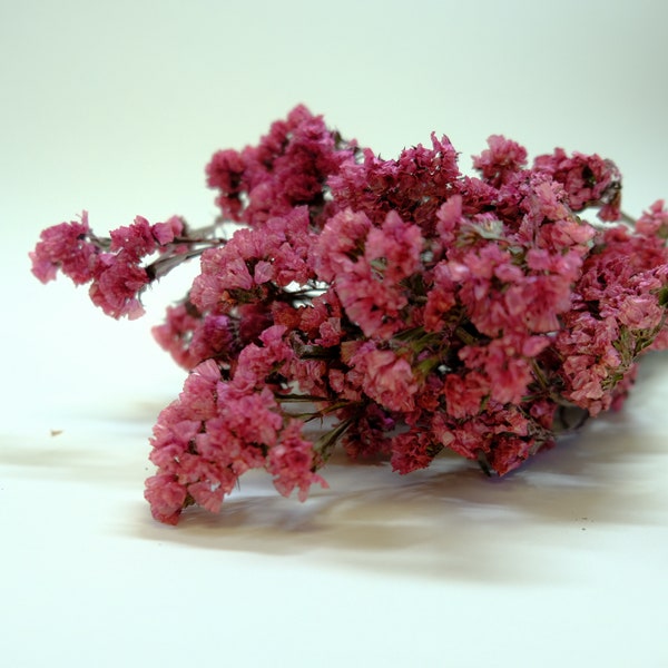 Dried Flower Statice(Long Stem)- Peach