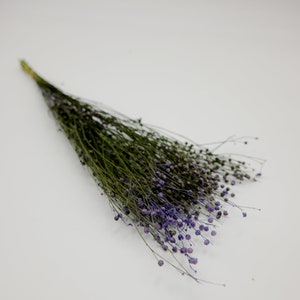 Preserved Flower Linum Mini Flax - Purple/Green