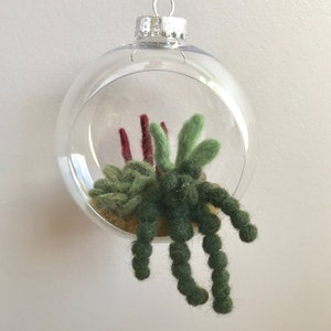 Needle Felted Hanging  Succulent Cactus Terrarium