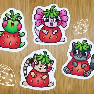 Autocollants Fraise - Chat, Axolotl, Grenouille, Raton laveur