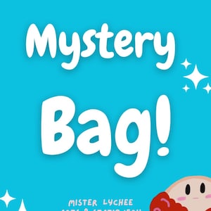 Mystery Bag! / Kawaii Grab Bag, regalo adesivo, borsa cieca casuale