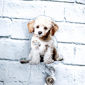 Poodle puppy badge reel, dog badge reel, cute dog badge reel, medical badge reel, nurse badge reel