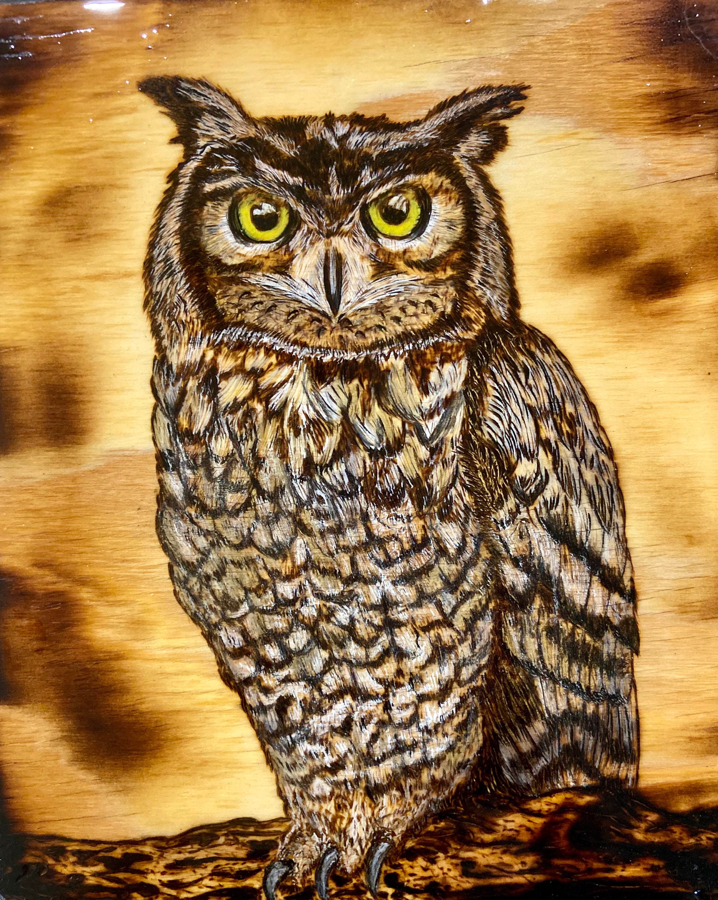 Owl Wise